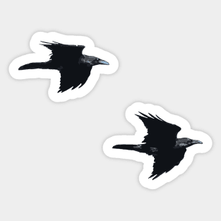 Two Ravens In Flight Vector Cut Out Sticker